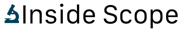 Inside Scope